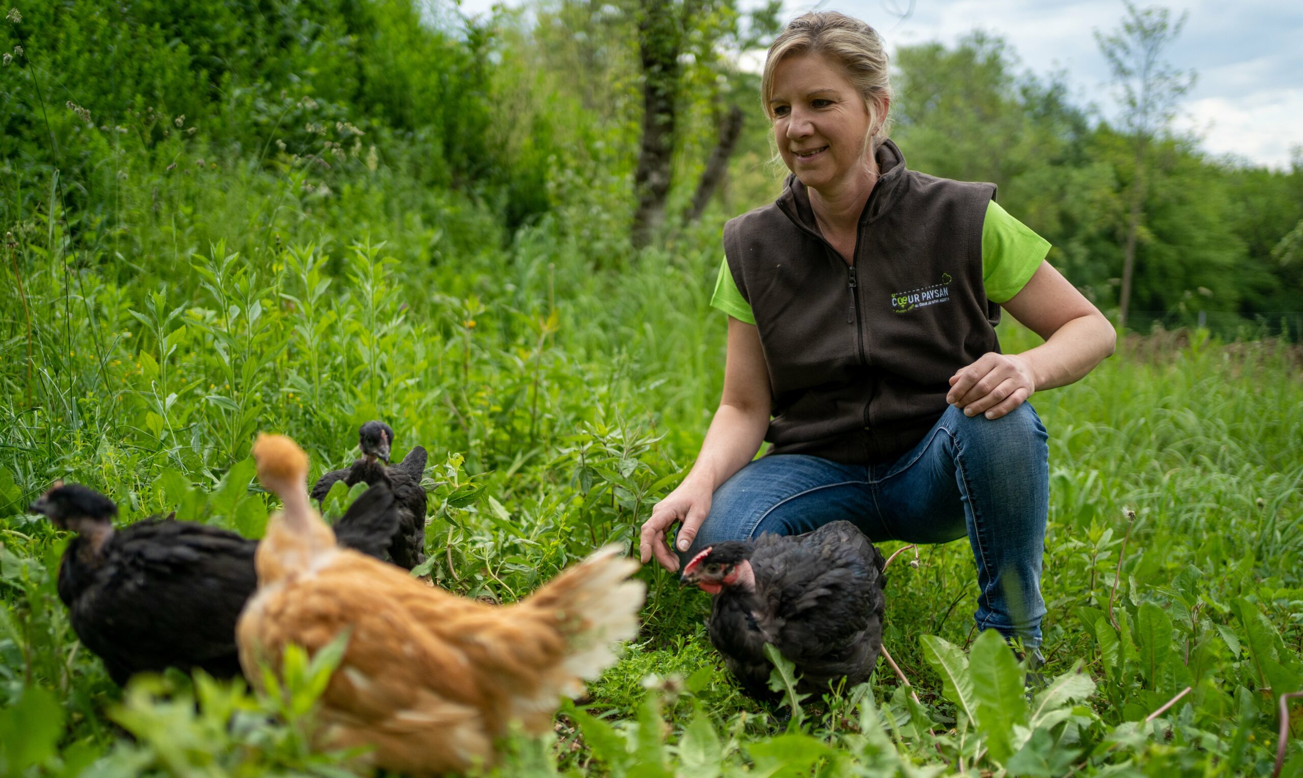 Vente poulet & pintade fermier Beutal | Ferme des Gravalons